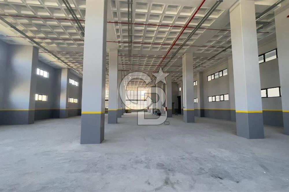 Deliklikaya Teskoopta 7750 m2 Müstakil Fabrika