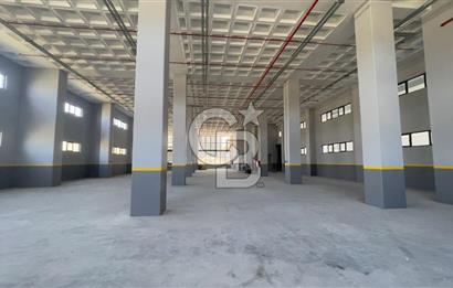 Deliklikaya Teskoopta 7750 m2 Müstakil Fabrika