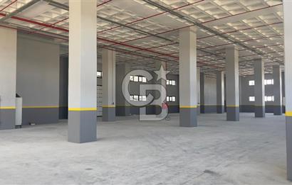 Deliklikaya Teskoopta 7750 m2 Müstakil Fabrika