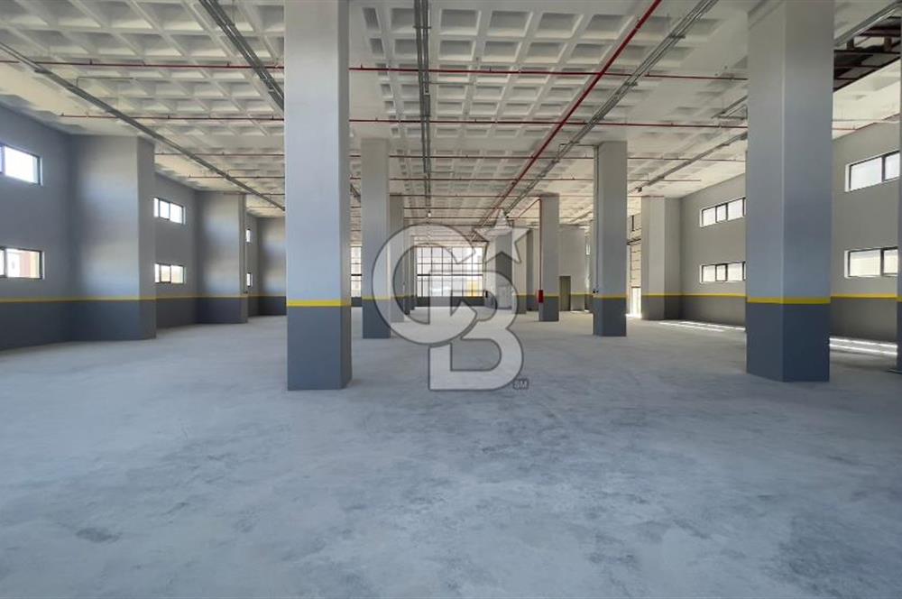 Deliklikaya Teskoopta 7750 m2 Müstakil Fabrika