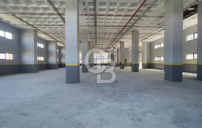 Deliklikaya Teskoopta 7750 m2 Müstakil Fabrika