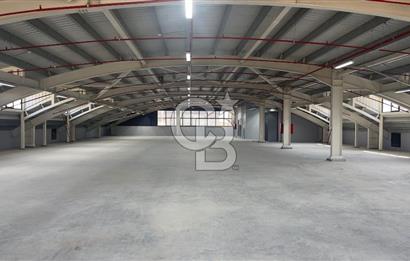 Deliklikaya Teskoopta 7750 m2 Müstakil Fabrika