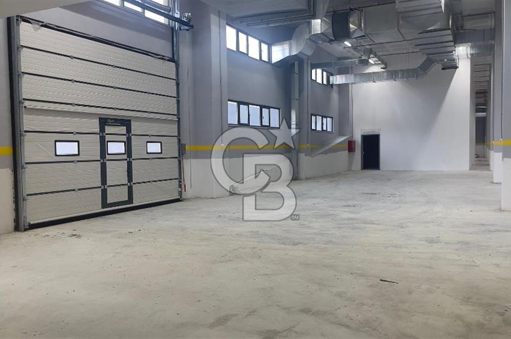 Deliklikaya Teskoopta 7750 m2 Müstakil Fabrika