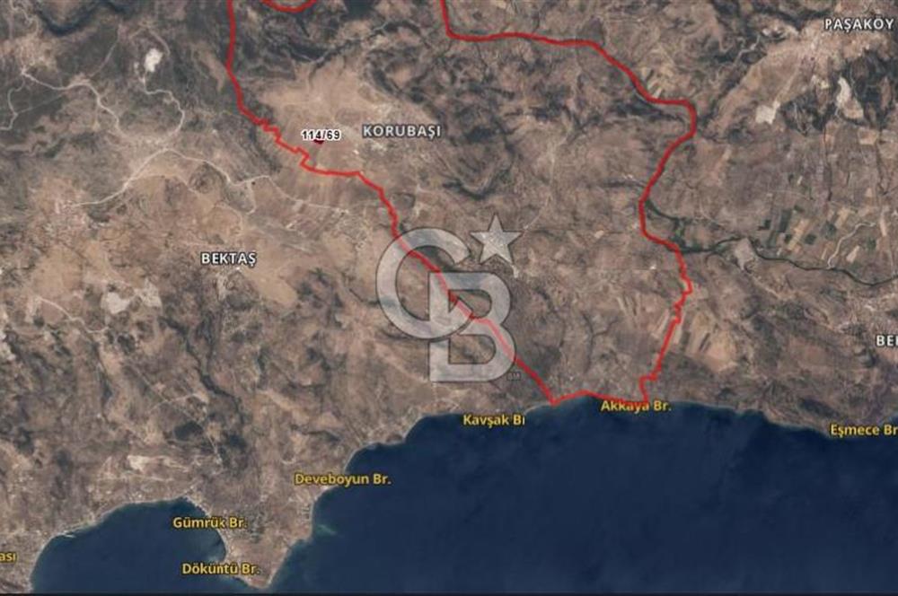 ÇANAKKALE AYVACIK KORUBAŞINDA UYGUN M2 FİYATLI AVANTAJLI SATILIK TARLA