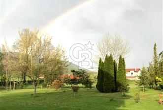 Yeşilyayla Köyü'nde Doğayla İç İçe 775m² Arsalı İskanlı Villa