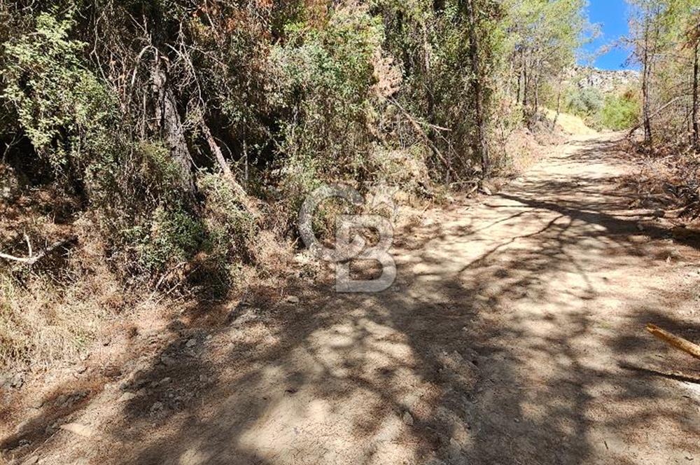 Doğayla İç İçe, Huzurlu Bir Yaşam Alanı