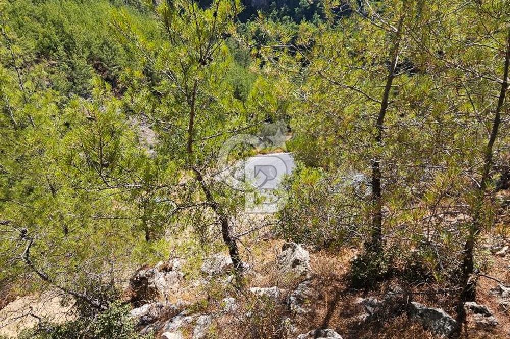 Doğayla İç İçe, Huzurlu Bir Yaşam Alanı