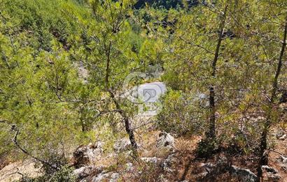 Doğayla İç İçe, Huzurlu Bir Yaşam Alanı