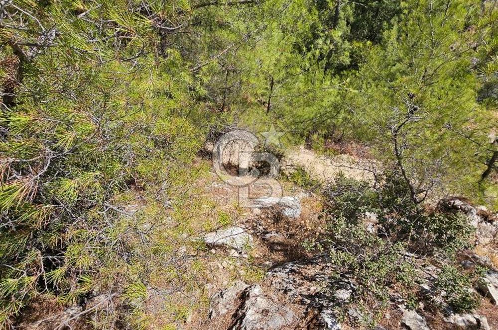 Doğayla İç İçe, Huzurlu Bir Yaşam Alanı
