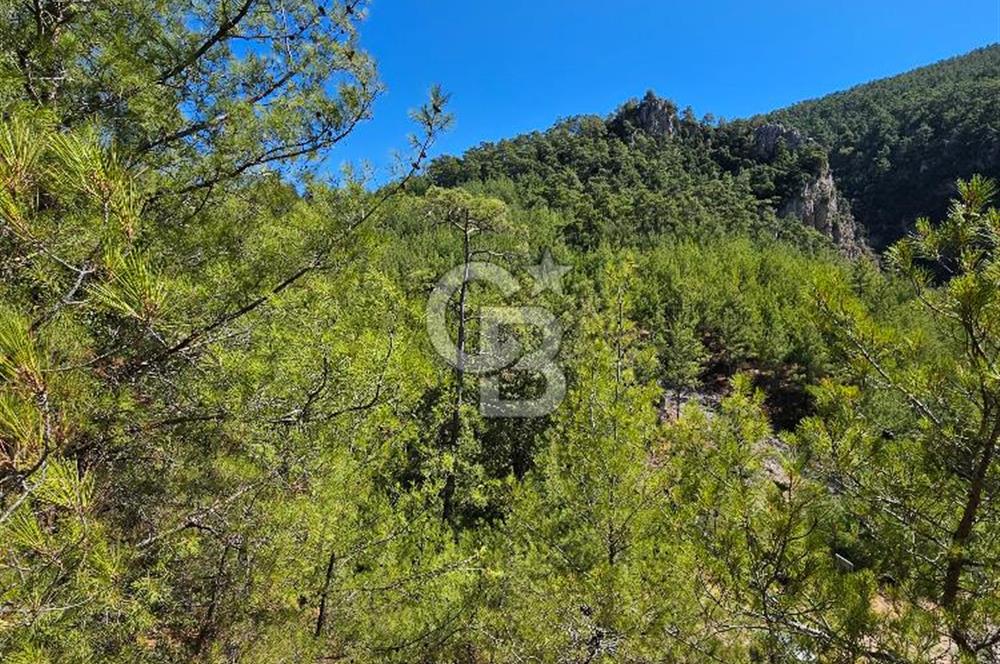 Doğayla İç İçe, Huzurlu Bir Yaşam Alanı
