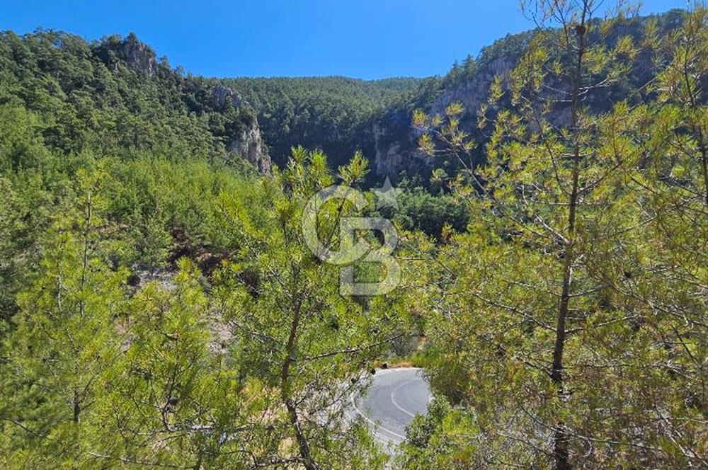 Doğayla İç İçe, Huzurlu Bir Yaşam Alanı