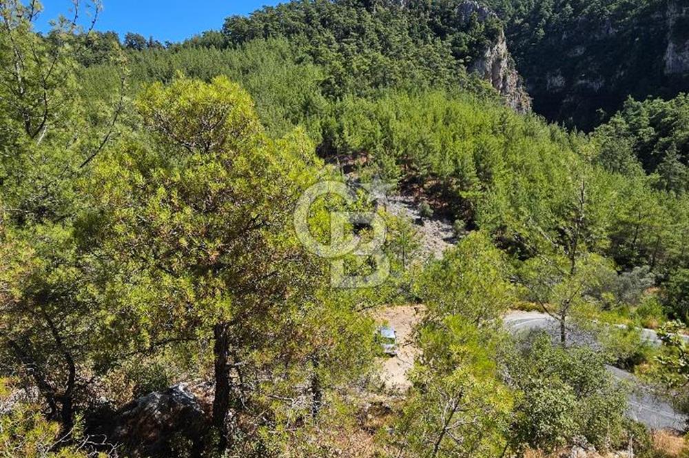 Doğayla İç İçe, Huzurlu Bir Yaşam Alanı