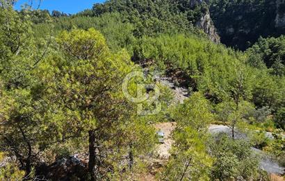 Doğayla İç İçe, Huzurlu Bir Yaşam Alanı