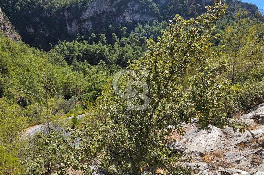 Doğayla İç İçe, Huzurlu Bir Yaşam Alanı