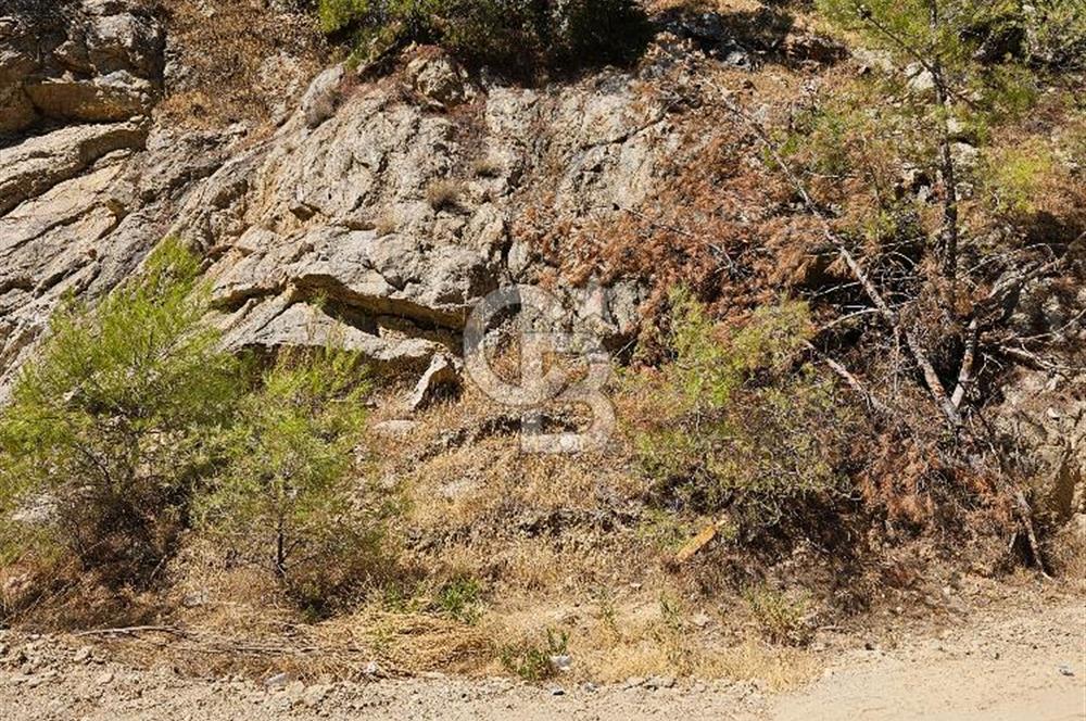 Doğayla İç İçe, Huzurlu Bir Yaşam Alanı