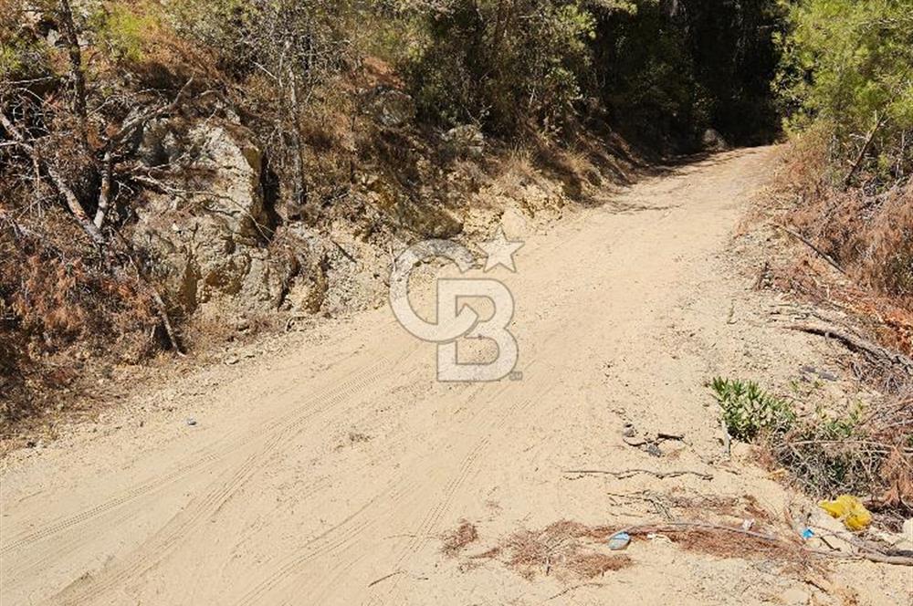Doğayla İç İçe, Huzurlu Bir Yaşam Alanı