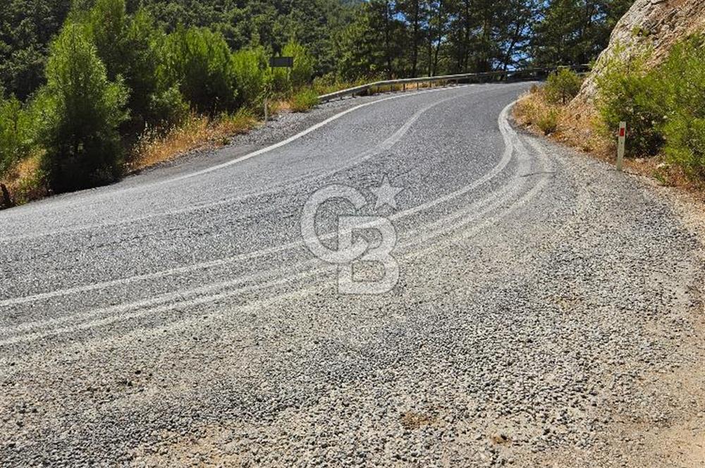 Doğayla İç İçe, Huzurlu Bir Yaşam Alanı