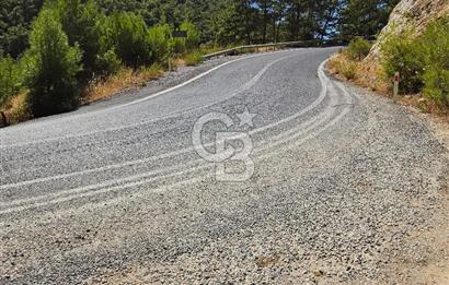 Doğayla İç İçe, Huzurlu Bir Yaşam Alanı