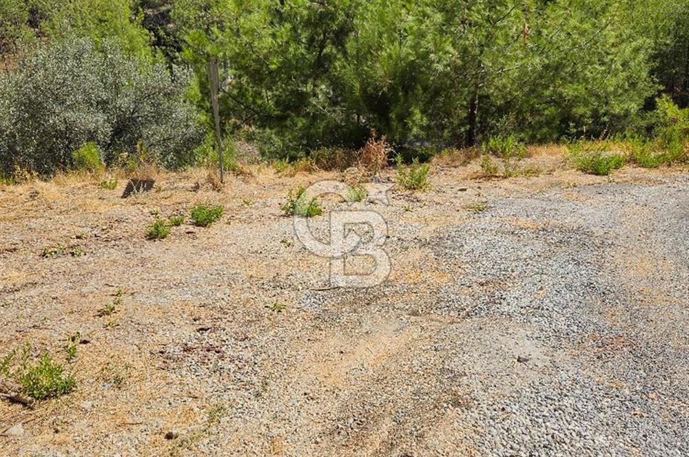 Doğayla İç İçe, Huzurlu Bir Yaşam Alanı