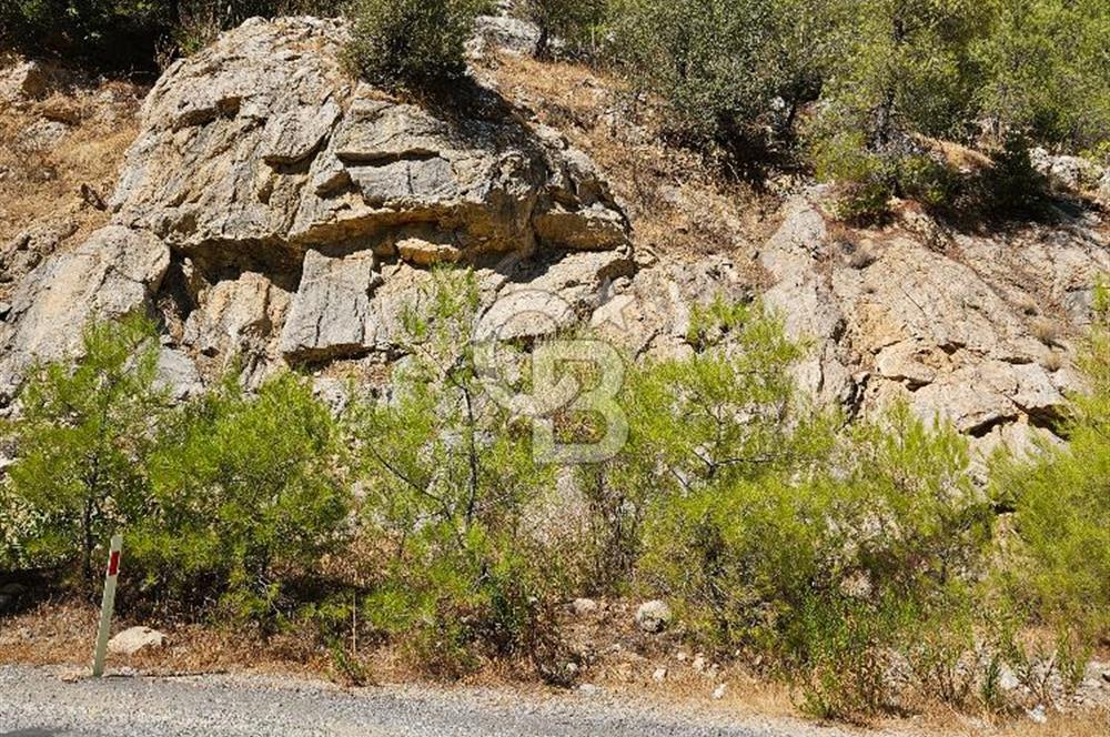 Doğayla İç İçe, Huzurlu Bir Yaşam Alanı