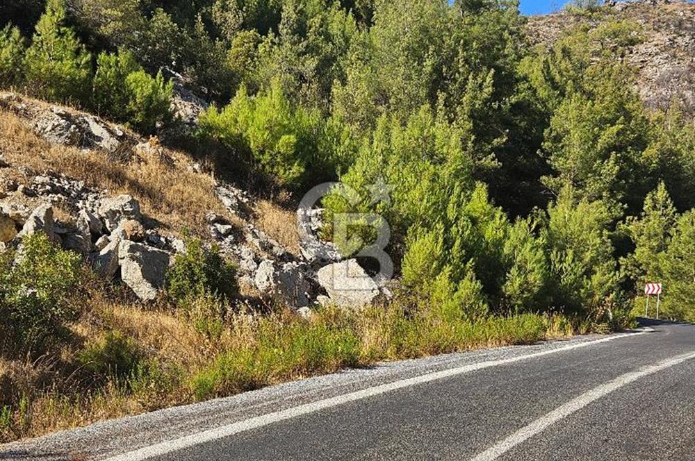 Doğayla İç İçe, Huzurlu Bir Yaşam Alanı
