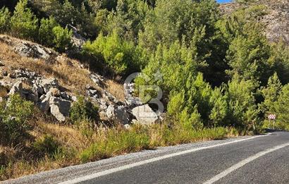 Doğayla İç İçe, Huzurlu Bir Yaşam Alanı