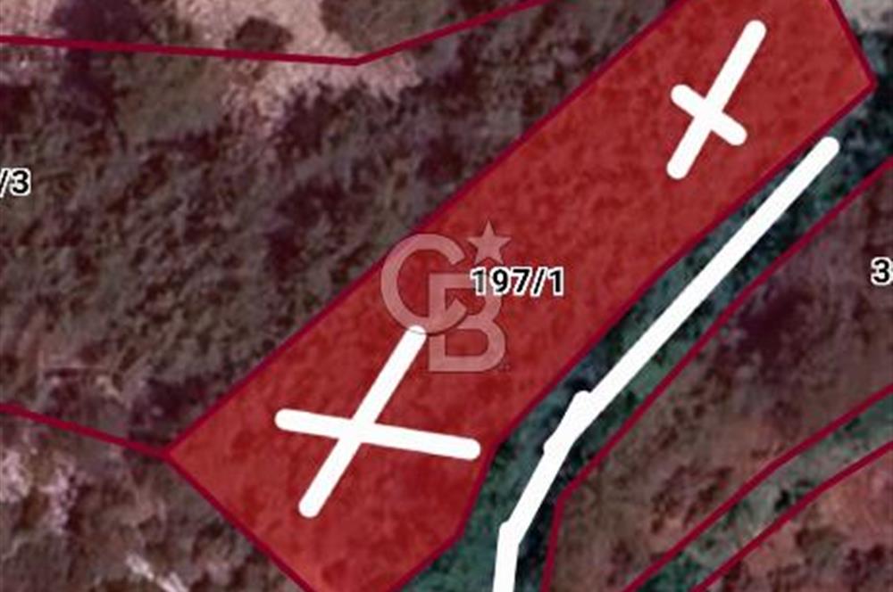 Doğayla İç İçe, Huzurlu Bir Yaşam Alanı