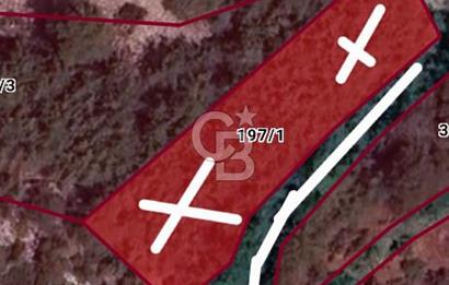 Doğayla İç İçe, Huzurlu Bir Yaşam Alanı