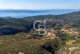 CB MARİNA'DAN ZEYTİNKÖY'DE 3843 M2 DENİZ M. SATILIK "ZEYTİNLİK"
