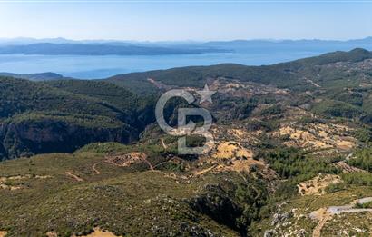 CB MARİNA'DAN ZEYTİNKÖY'DE 3843 M2 DENİZ M. SATILIK "ZEYTİNLİK"
