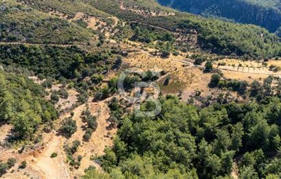 CB MARİNA'DAN ZEYTİNKÖY'DE 3843 M2 DENİZ M. SATILIK "ZEYTİNLİK"