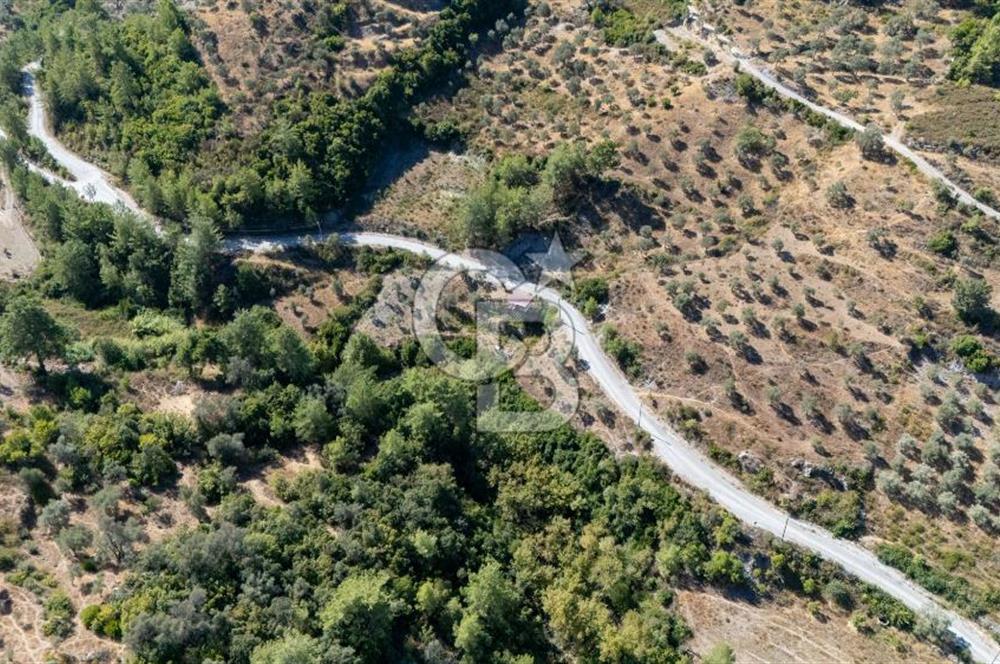 CB MARİNA'DAN ZEYTİNKÖY'DE HOBİ BAHÇESİ SATILIK "ZEYTİNLİK"