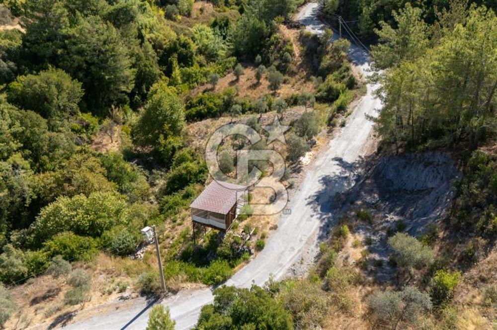 CB MARİNA'DAN ZEYTİNKÖY'DE HOBİ BAHÇESİ SATILIK "ZEYTİNLİK"