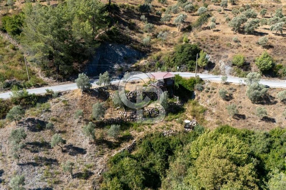 CB MARİNA'DAN ZEYTİNKÖY'DE HOBİ BAHÇESİ SATILIK "ZEYTİNLİK"