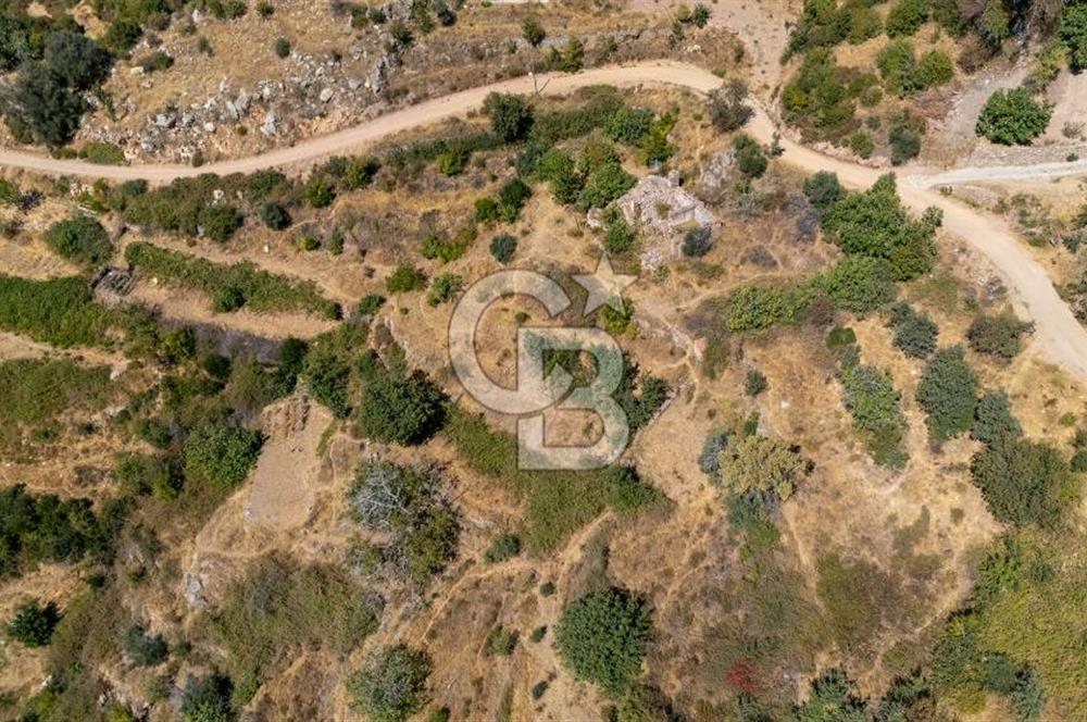CB MARİNA'DAN ZEYTİNKÖY'DE AKBÜK'E 10 DK SATILIK "TARLA"