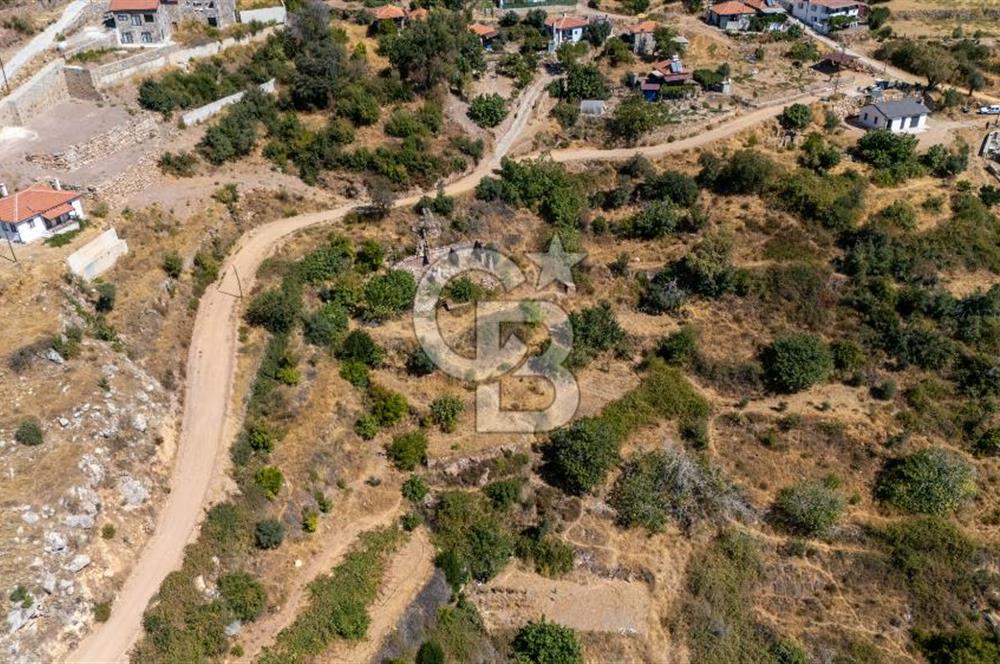 CB MARİNA'DAN ZEYTİNKÖY'DE DENİZ M. SATILIK "KARGİR EV VE TARLA"
