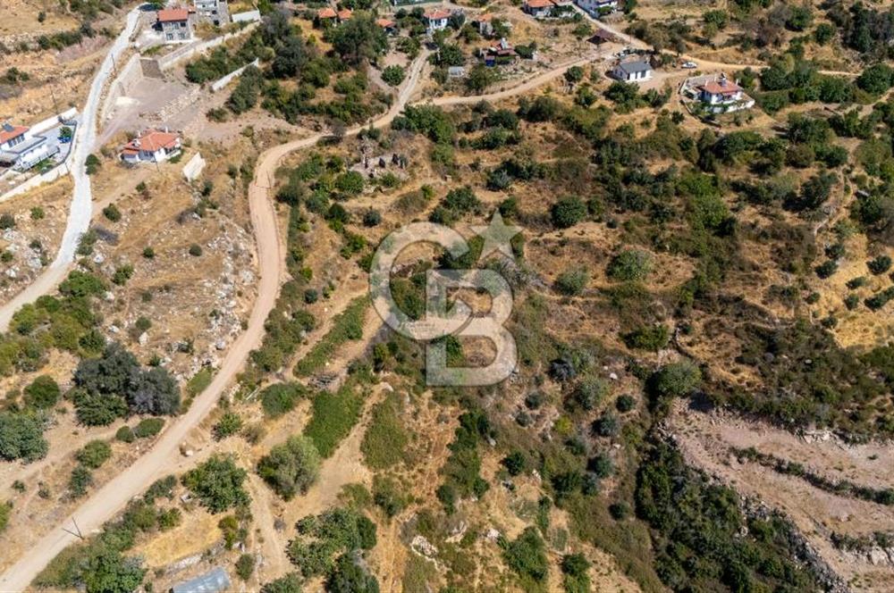 CB MARİNA'DAN ZEYTİNKÖY'DE DENİZ MAN. SATILIK "K.EV VE TARLA"