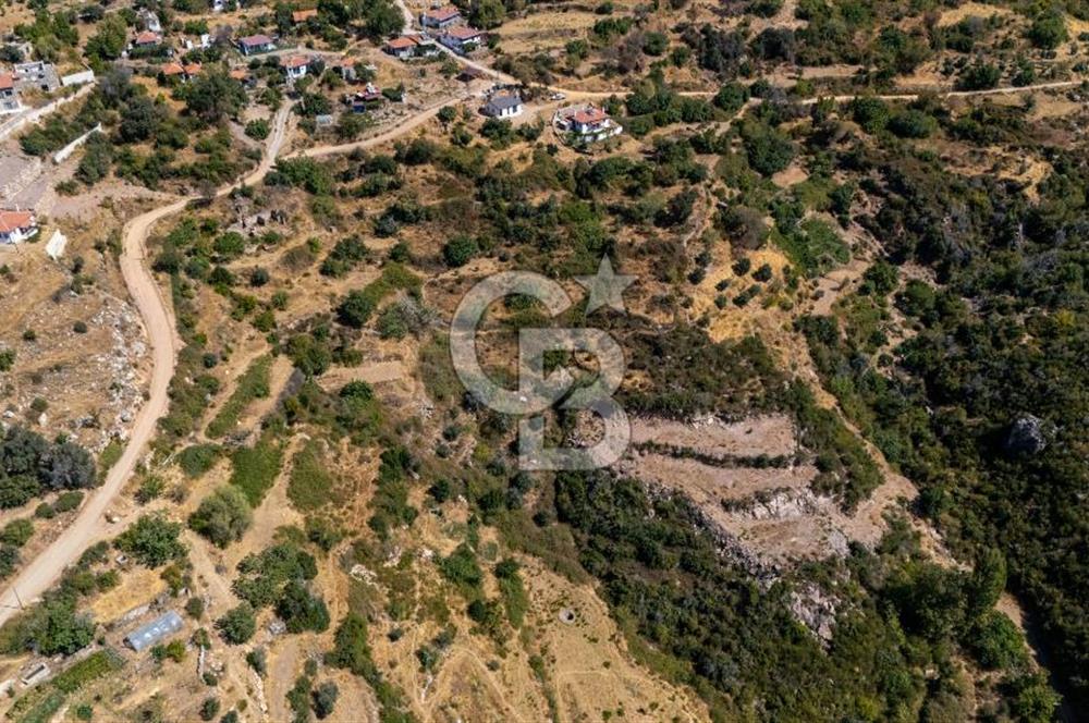 CB MARİNA'DAN ZEYTİNKÖY'DE AKBÜK'E 10 DK SATILIK "TARLA"