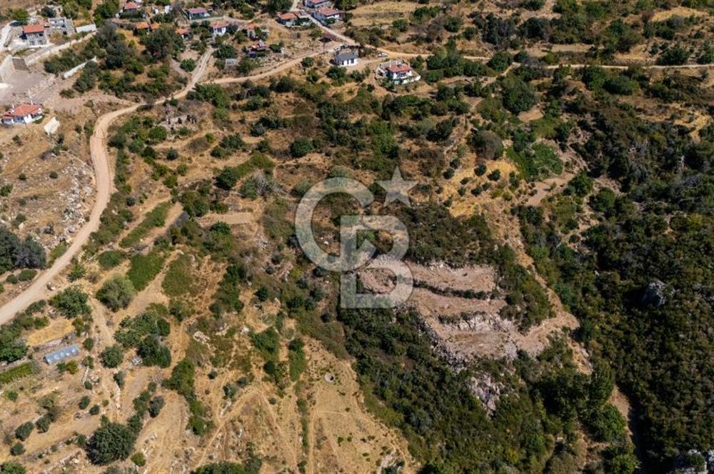CB MARİNA'DAN ZEYTİNKÖY'DE AKBÜK'E 10 DK SATILIK "TARLA"