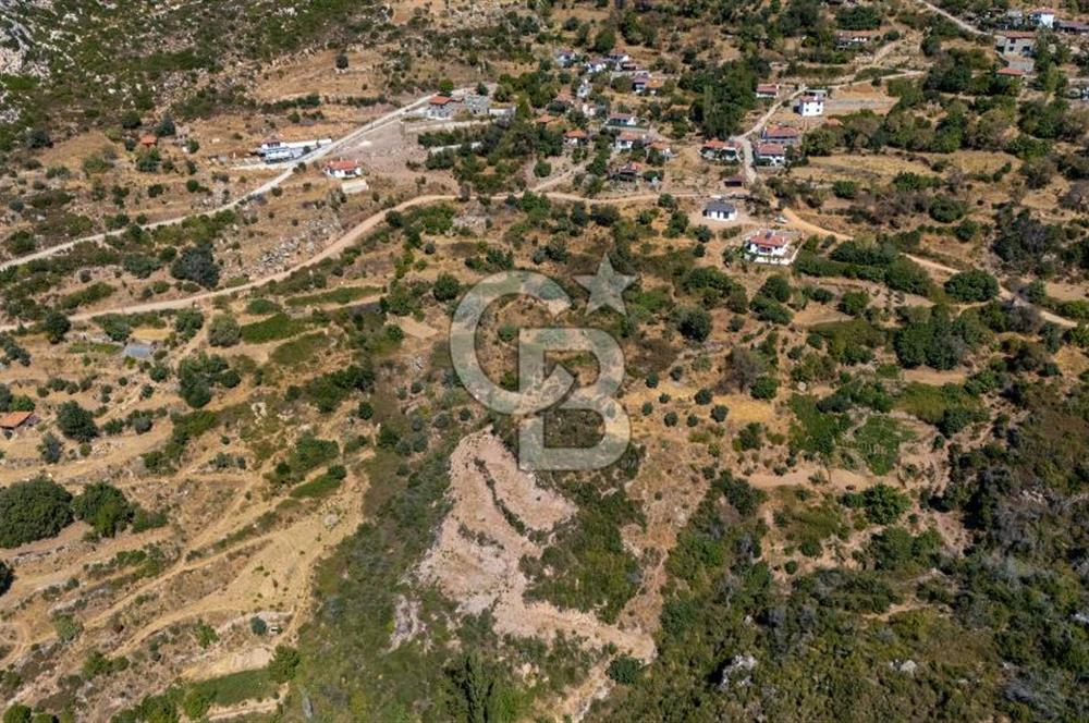 CB MARİNA'DAN ZEYTİNKÖY'DE AKBÜK'E 10 DK SATILIK "TARLA"