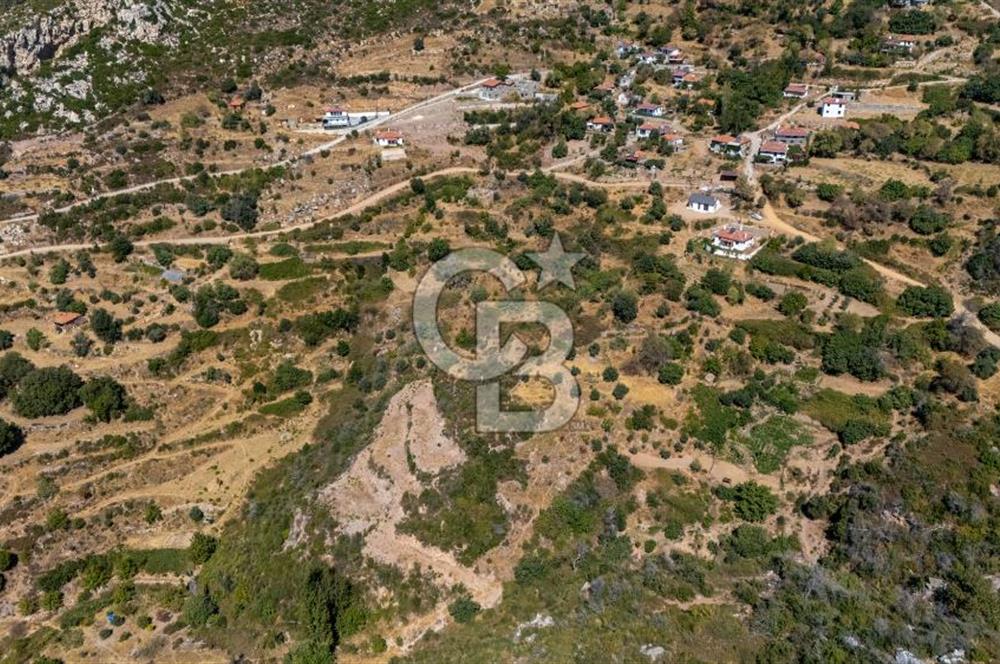 CB MARİNA'DAN ZEYTİNKÖY'DE AKBÜK'E 10 DK SATILIK "TARLA"