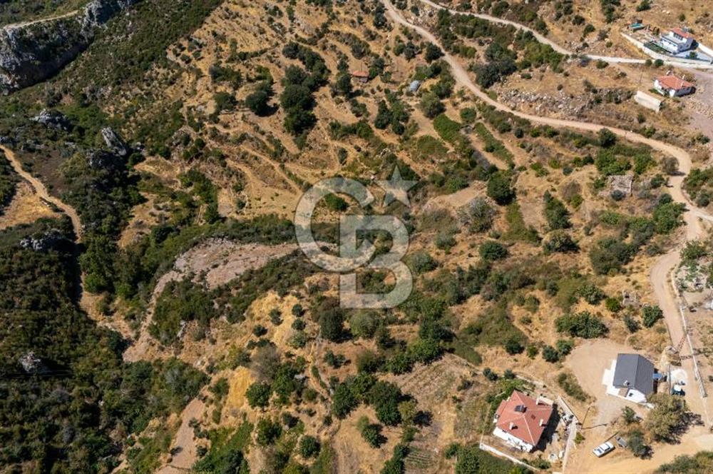 CB MARİNA'DAN ZEYTİNKÖY'DE AKBÜK'E 10 DK SATILIK "TARLA"