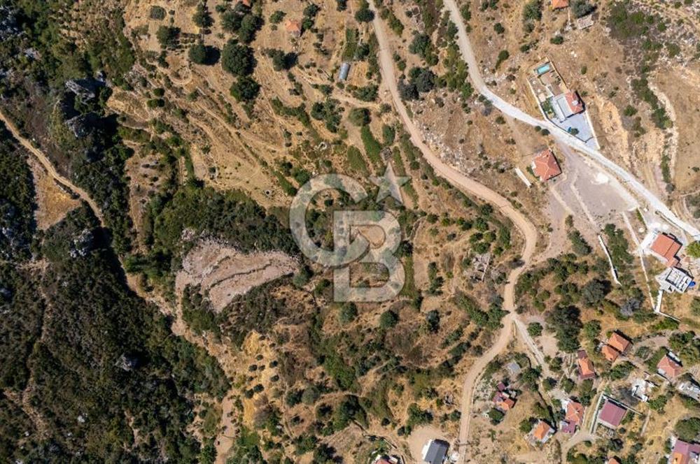 CB MARİNA'DAN ZEYTİNKÖY'DE AKBÜK'E 10 DK SATILIK "TARLA"