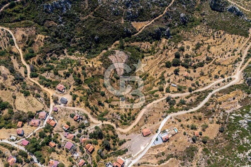 CB MARİNA'DAN ZEYTİNKÖY'DE DENİZ M. SATILIK "KARGİR EV VE TARLA"