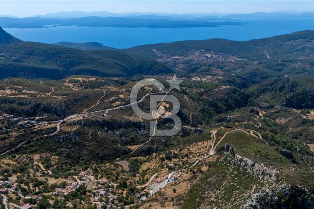 CB MARİNA'DAN ZEYTİNKÖY'DE AKBÜK'E 10 DK SATILIK "TARLA"