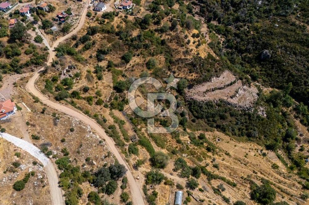 CB MARİNA'DAN ZEYTİNKÖY'DE DENİZ M. SATILIK "KARGİR EV VE TARLA"