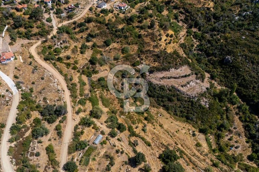 CB MARİNA'DAN ZEYTİNKÖY'DE DENİZ M. SATILIK "KARGİR EV VE TARLA"