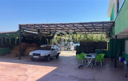 İzmir Kınık - Bergama Yolu Üzeri  Satılık 90.000m2 Kurulu Çiftlik(Meyva üretim)