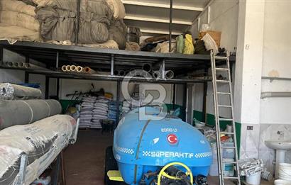 İzmir Kınık - Bergama Yolu Üzeri  Satılık 90.000m2 Kurulu Çiftlik(Meyva üretim)