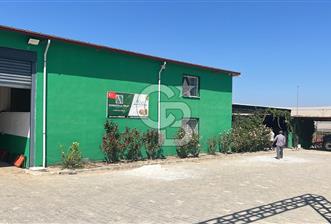 İzmir Kınık - Bergama Yolu Üzeri  Satılık 90.000m2 Kurulu Çiftlik(Meyva üretim)